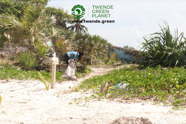 Blue Carbon Action Legacy Programme: photograph 95