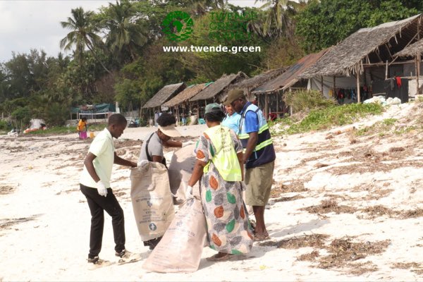 Blue Carbon Action Legacy Programme: photograph 206
