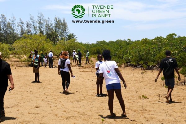 Blue Carbon Action Legacy Programme: photograph 42