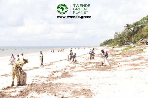 Blue Carbon Action Legacy Programme: photograph 122