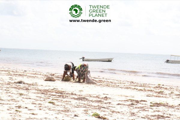Blue Carbon Action Legacy Programme: photograph 81
