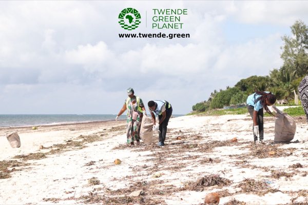 Blue Carbon Action Legacy Programme: photograph 82