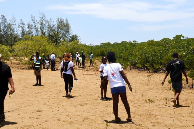 Twende Green Planet – 025