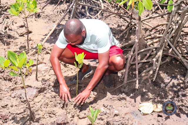 Twende Green Planet – 065
