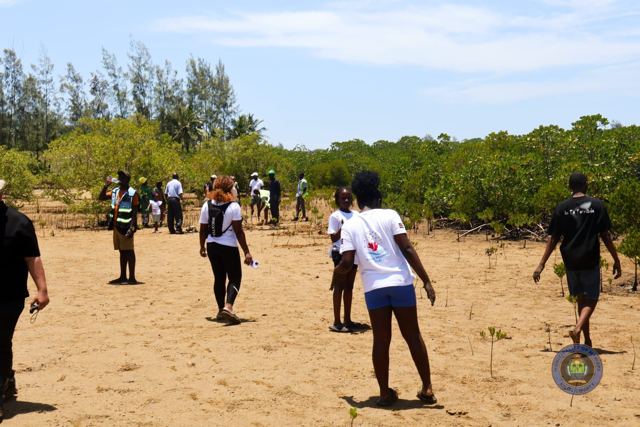 Twende Green Planet – 071