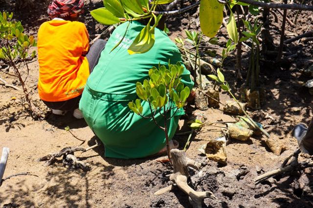 Twende Green Planet – 084