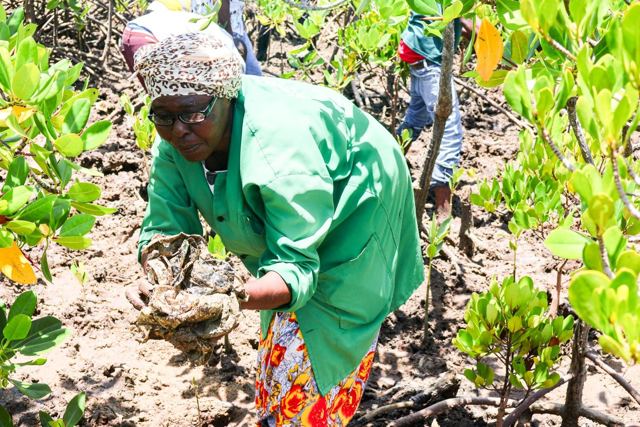 Twende Green Planet – 086
