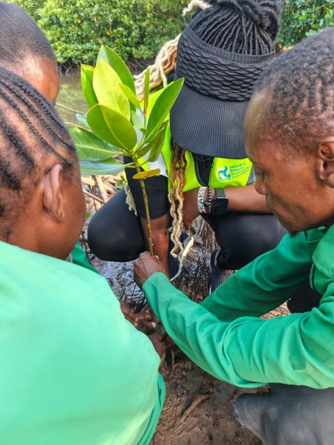 Twende Green Planet – 222